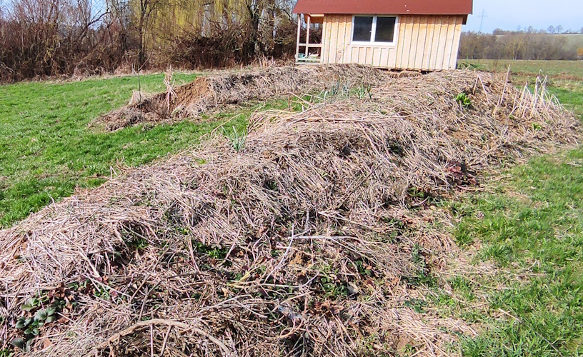 Eindruck der Beete nach dem Winter