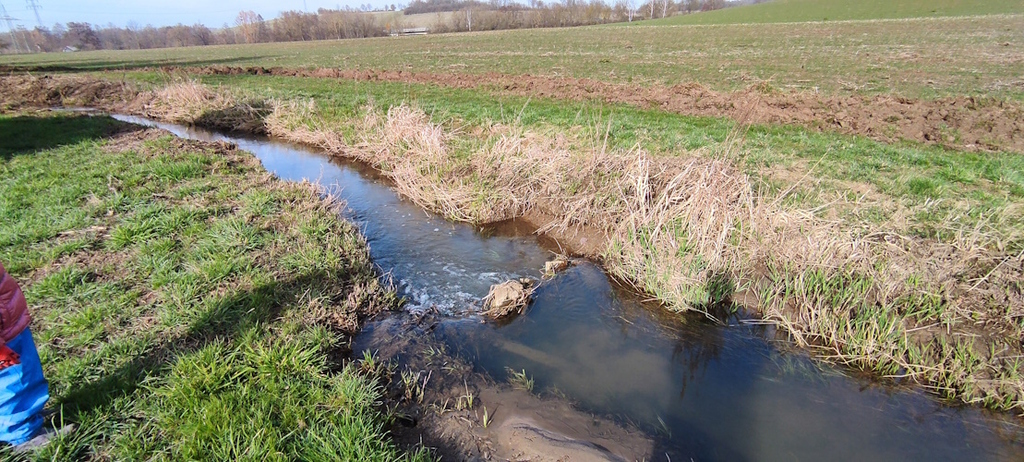 hoher Flusslauf im Frühling