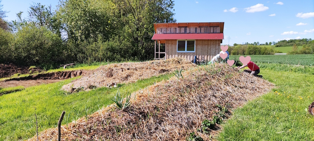 Anpflanzen Ende April