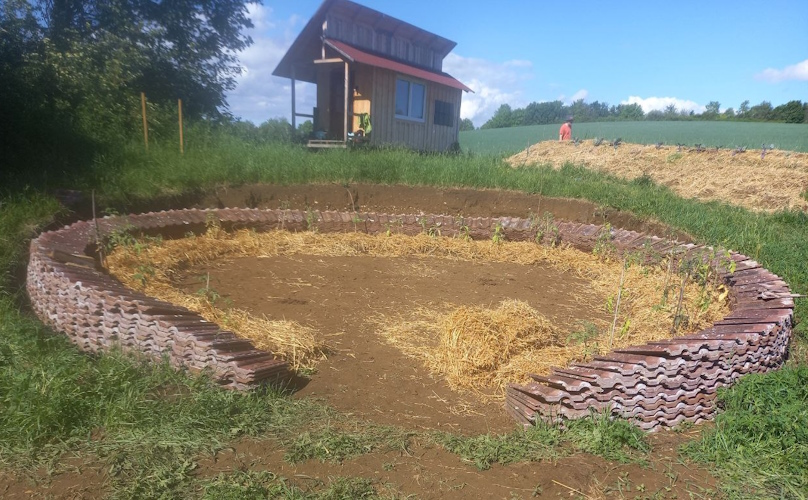 Tomate und Paprika sind gepflanzt