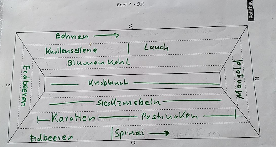 Pflanzplan Beet Ost Anfang 2024