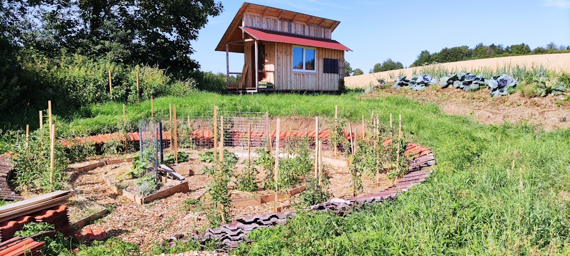 der Naturgarten im Juli 24