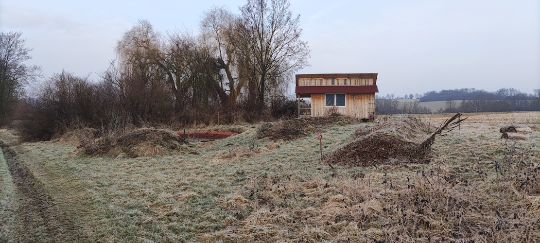 grauer Winter