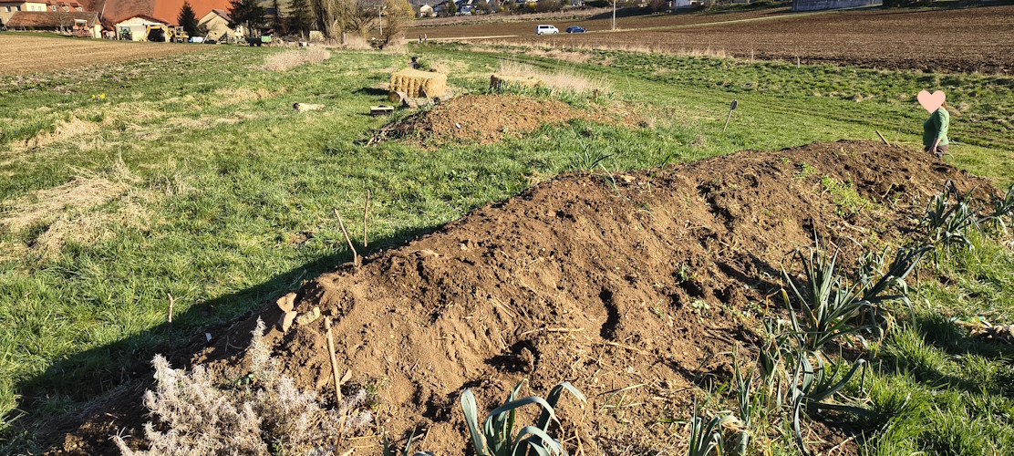 erste Beete Bereinigungsaktion