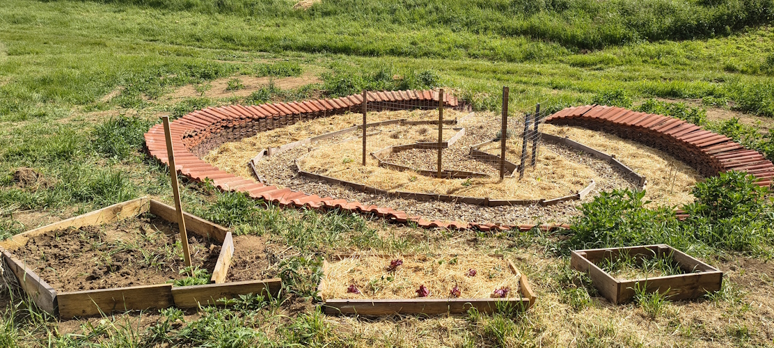 die neuen Kinderbeete