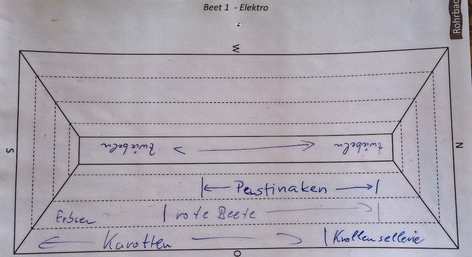 Anpflanzungen Mitte Mai beim Elektrobeet