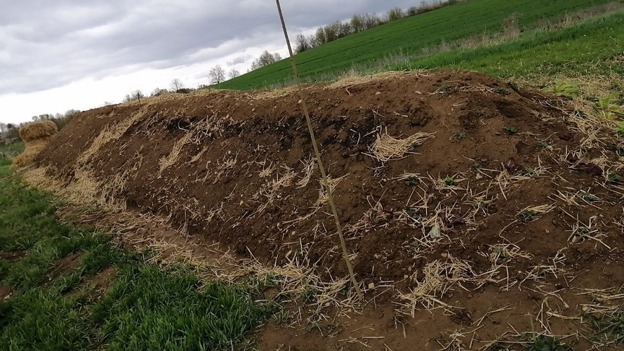 Mulchschicht vom Sturm abgedeckt