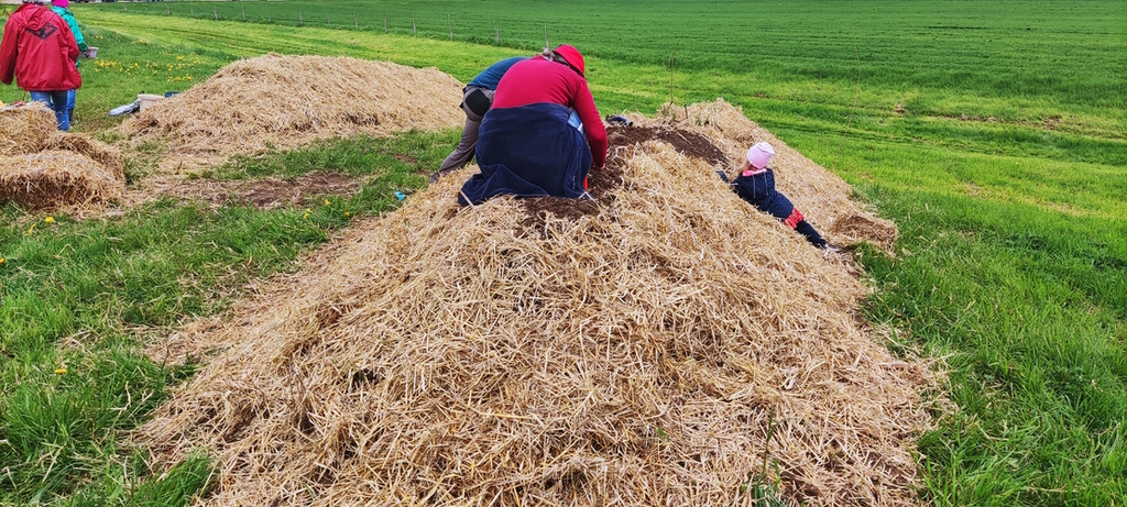 Mulchschicht aus Stroh wird erneuert