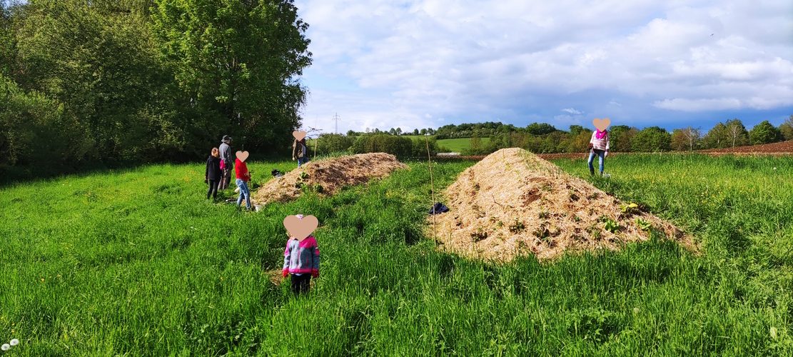 Die Hobbygärtner beim weiteren Anpflanzen u.A. von Sellerie und Knoblauch