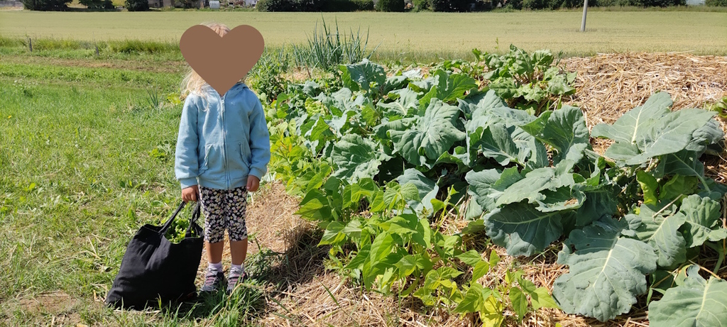 "Einkaufen" im Naturgarten Habermühle