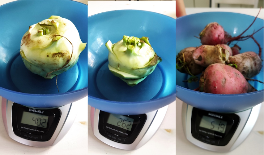 Riesenkohlrabi und leckere Beete
