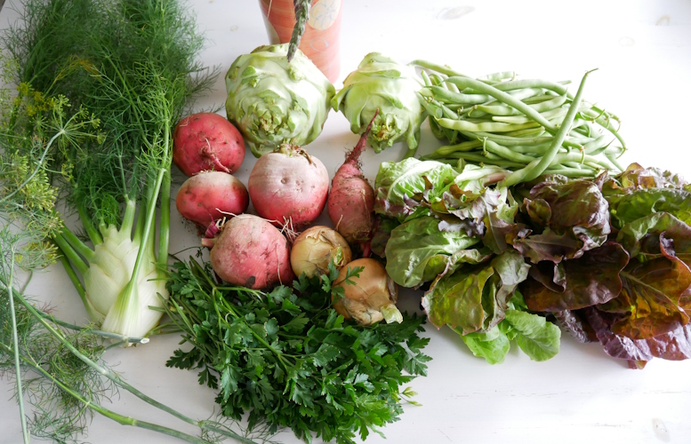 Beete, Bohnen, Dill, Fenchel, Kohlrabi, Petersilie, Salate und Zwiebeln