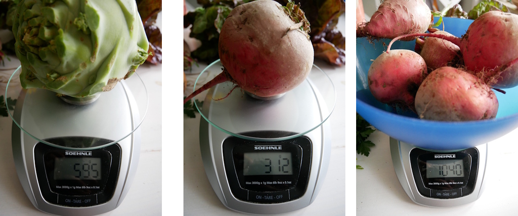 Kohlrabi mit fast 600g und Beete mit 300g