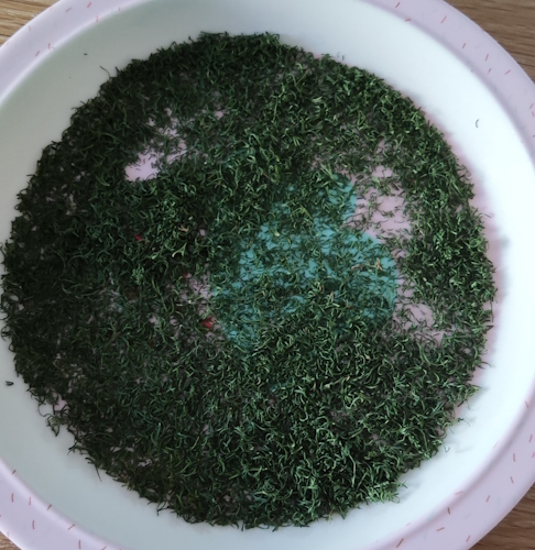 Dill