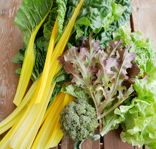 Mangold, Brokkoli und Salat