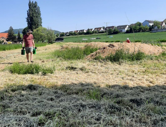 Mühsames Gießen mit Gießkanne ohne angestauten Bach