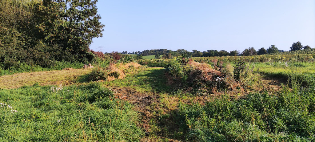 Die Beete Mitte September