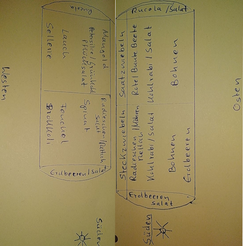 Pflanzplan Anfang Juni 2023